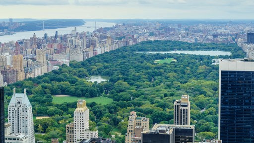 Ansicht von oben auf den Central Park und die Hochhäuser rundherum