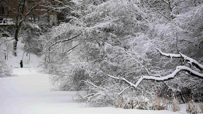 Ein Spaziergänger im frisch verschneiten Central Park. Bäume, Wege und Wiesen sind schneebedeckt. | Bildquelle: Reuters/Lucas Jackson Ein Spaziergänger im frisch verschneiten Central Park. Bäume, Wege und Wiesen sind schneebedeckt.