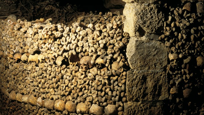 Eine Wand, nur aus Knochen und Schädeln bestehend, zieht sich durch den Keller.