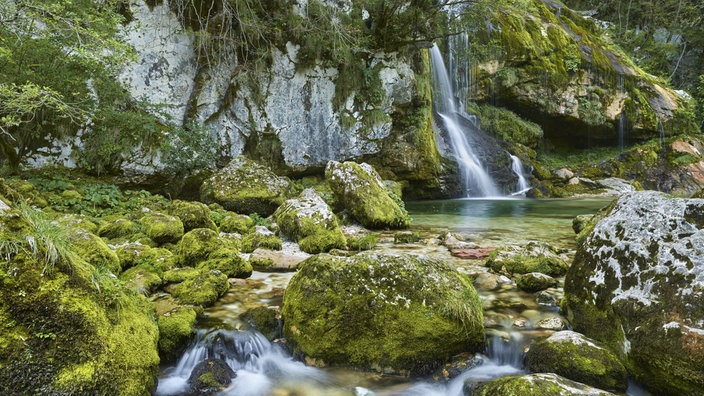 Mit Moos bewachsene Steine an einem See mit kleinem Wasserfall | Bildquelle: INTERFOTO Mit Moos bewachsene Steine an einem See mit kleinem Wasserfall