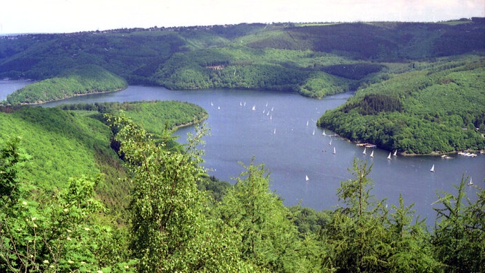 Blick über bewaldete Hügel auf den Rursee. | Bildquelle: ddp/dapd/Torsten Schaefer Blick über bewaldete Hügel auf den Rursee.