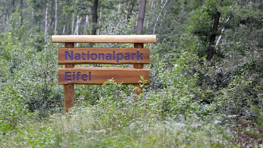 Ein Holzschild kennzeichnet die Grenze des Nationalparks.