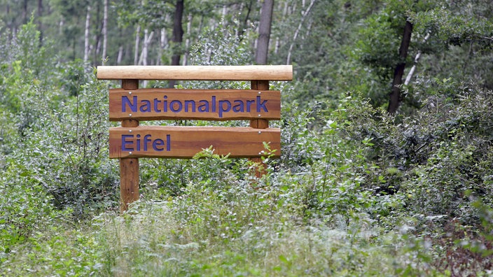 Ein Holzschild kennzeichnet die Grenze des Nationalparks. | Bildquelle: WDR/Herby Sachs Ein Holzschild kennzeichnet die Grenze des Nationalparks.