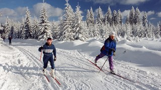 Zwei Skilangläufer 