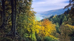 Weserbergland:Blick von der Bramburg auf die Weser