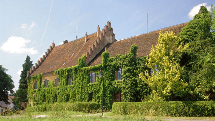Dotternhausener Schloss im Sommer