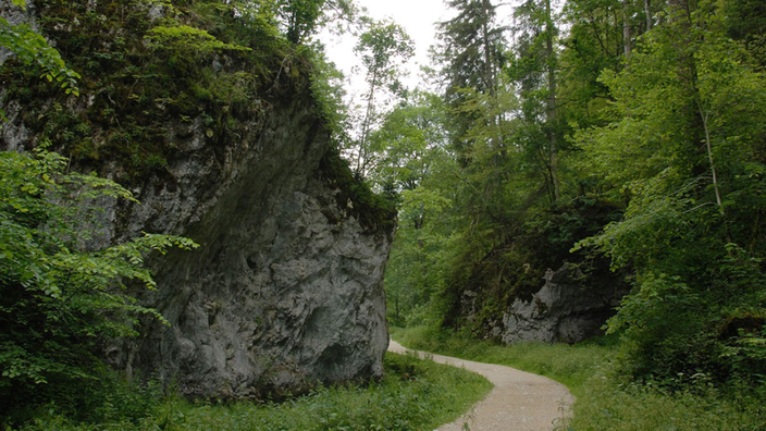 Ein Wanderweg im Geopark Schwäbische Alb