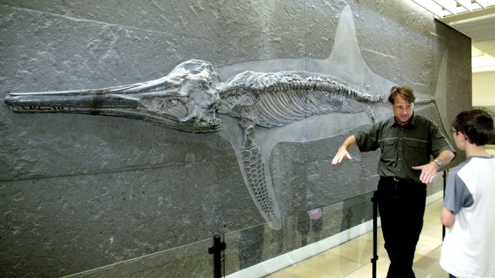 Ein Mann neben einem Skelett eines Ichthyosauriers im Urweltmuseum Hauff in Holzmaden