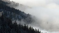 Nebel zieht ein Waldstück hoch im Schwarzwald