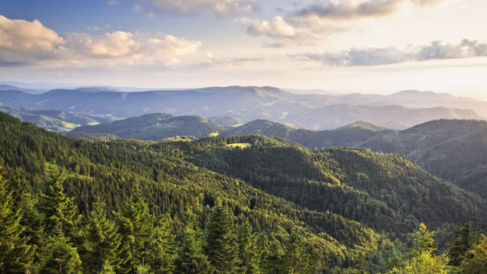 Ansicht über den mittleren Schwarzwald mit wolkigem Himmel | Bildquelle: Interfoto/Imagebroker Ansicht über den mittleren Schwarzwald mit wolkigem Himmel