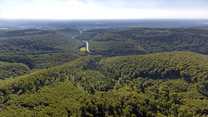 Luftbild des Teutoburger Waldes | Bildquelle: Imago/Hans Blossey Luftbild des Teutoburger Waldes