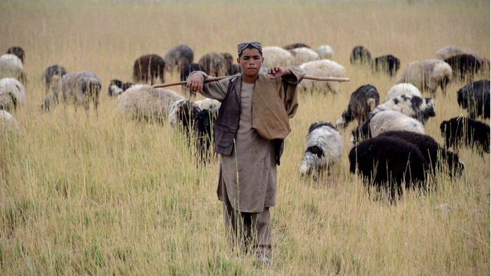 Afghanistan: Schäfer auf der Weide | Bildquelle: AFP/JAVED TANVEER Afghanistan: Schäfer auf der Weide