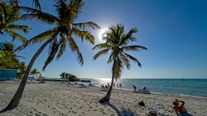 Palmen am Strand von Key West