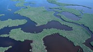 Luftaufnahme der Everglades.
