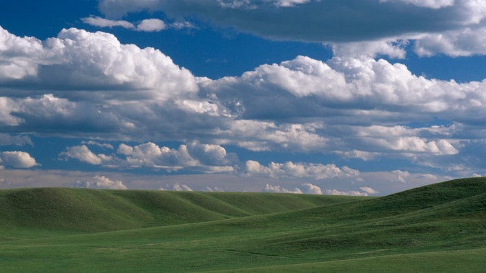Unberührte Landschaft im mittleren Westen der USA | Bildquelle: WDR/dpa/NHPA/Photoshot/John Shaw Unberührte Landschaft im mittleren Westen der USA