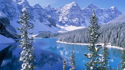 Kanadas Rocky Mountains im Winter.