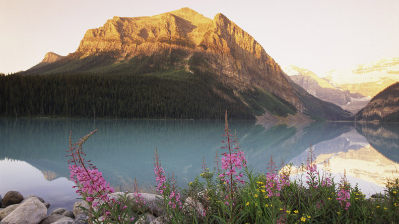 Der Lake Louise im Banff National Park, im Hintergrund der schneebedeckte Fairway Mountain, im Vordergrund violette Wildblumen. | Bildquelle: Mauritius/Alan Kearney Der Lake Louise im Banff National Park, im Hintergrund der schneebedeckte Fairway Mountain, im Vordergrund violette Wildblumen.