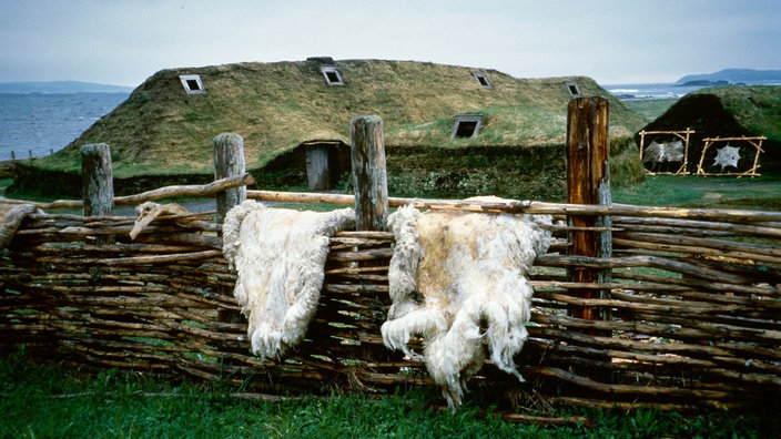 Zwei mit Gras bewachsene Hütten vor der Kulisse des Meeres. Im Vordergrund ein geflochtener Zaun, über dem zwei Felle hängen. | Bildquelle: picture-alliance / akg-images / Jürgen Sorges Zwei mit Gras bewachsene Hütten vor der Kulisse des Meeres. Im Vordergrund ein geflochtener Zaun, über dem zwei Felle hängen.