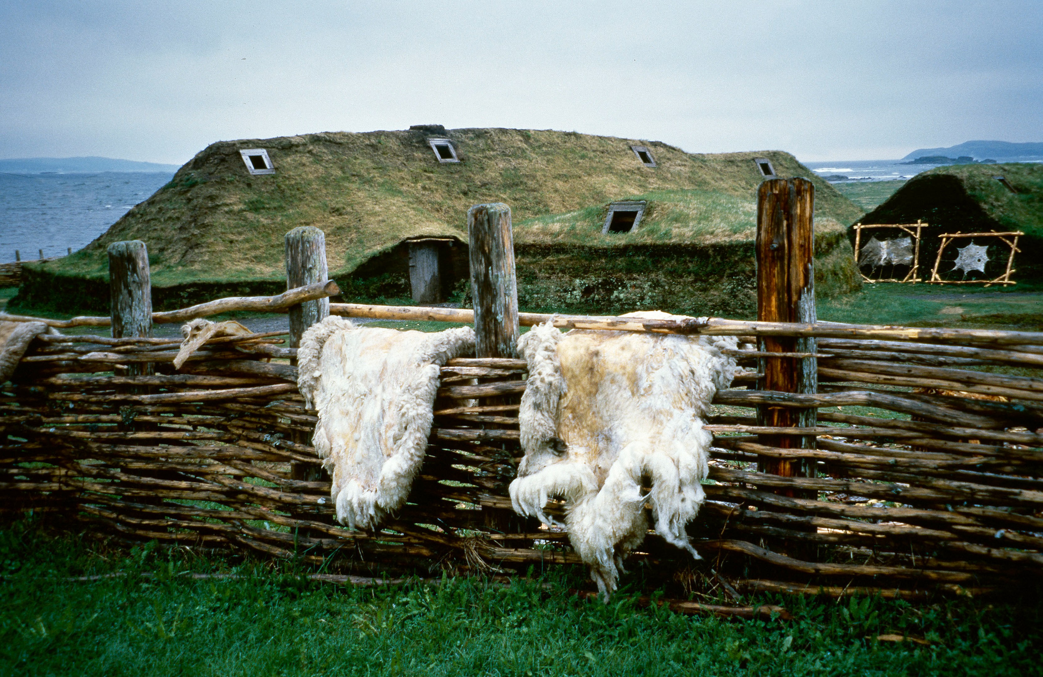 Zwei mit Gras bewachsene Hütten vor der Kulisse des Meeres. Im Vordergrund ein geflochtener Zaun, über dem zwei Felle hängen.