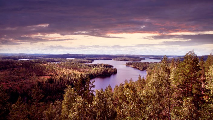Saimaa-Region mit See und Wald