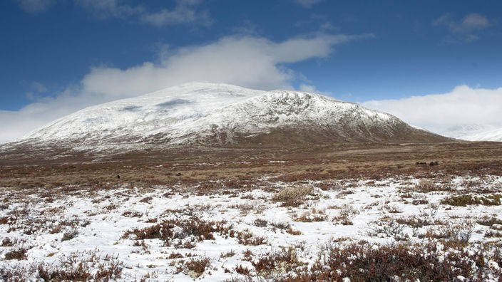 Winterliche Landschaft im Dovrefjell Nationalpark