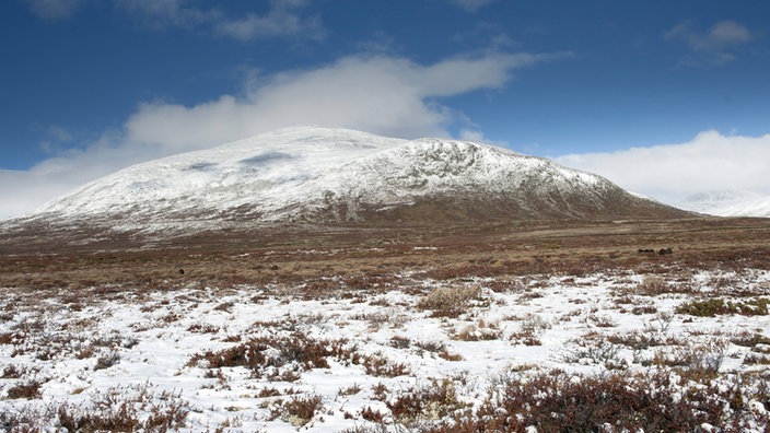 Winterliche Landschaft im Dovrefjell Nationalpark | Bildquelle: Imago/blickwinkel/AGAMI/H. Bouwmeester Winterliche Landschaft im Dovrefjell Nationalpark