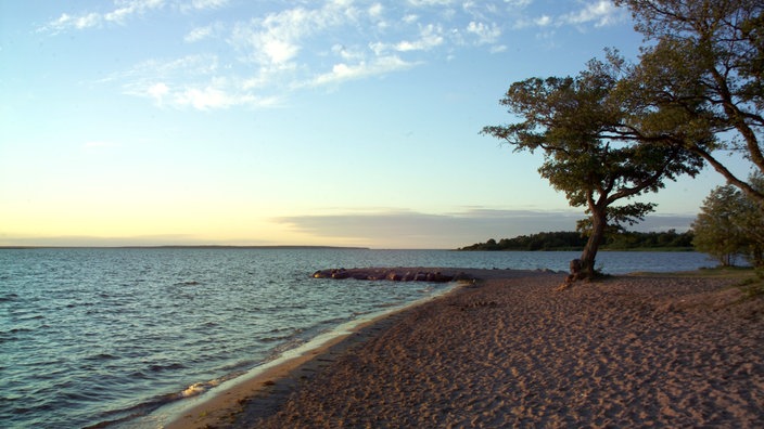 Strand auf Öland | Bildquelle: WDR/Klaus Rose Strand auf Öland