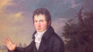 Das Gemälde zeigt den jungen Beethoven. Zu sehen ist im Vordergrund ein ernst blickender, dunkel gekleideter und dunkelhaariger junger Mann, der sitzend zum Betrachter schaut und den rechten Arm von sich streckt.