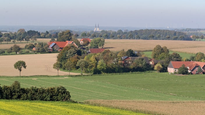 Felder, Hecken und Bauernhöfe im Münsterland
