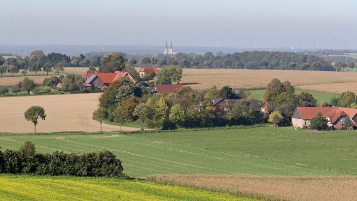 Felder, Hecken und Bauernhöfe im Münsterland | Bildquelle: WDR/Susanne Szymanski Felder, Hecken und Bauernhöfe im Münsterland