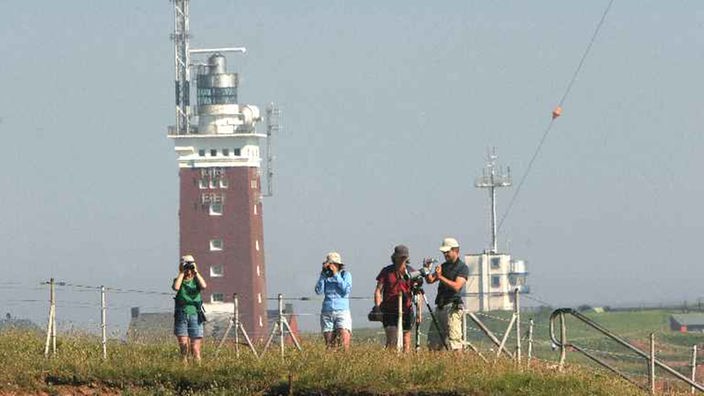 Das Foto zeigt im Vordergrund auf einer Wiese einige Menschen, die mit Fernrohren etwas beobachten. Dahinter ist groß der Helgoländer Backsteinleuchtturm mit weißem Dach zu sehen.