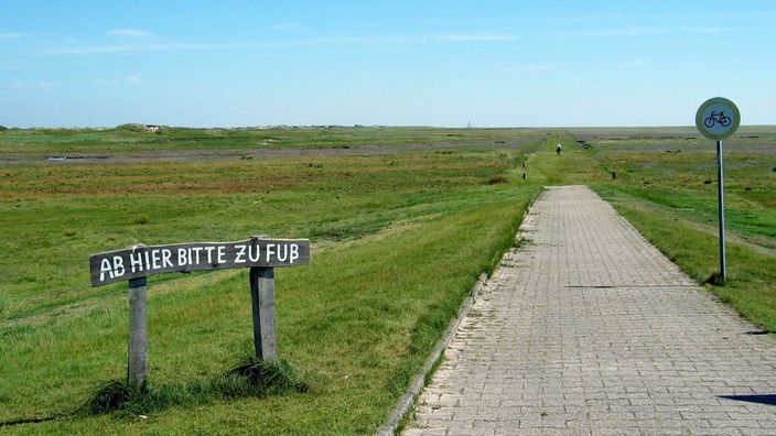 Marschland auf Norderney mit einem Schild "Ab hier bitte zu Fuß"