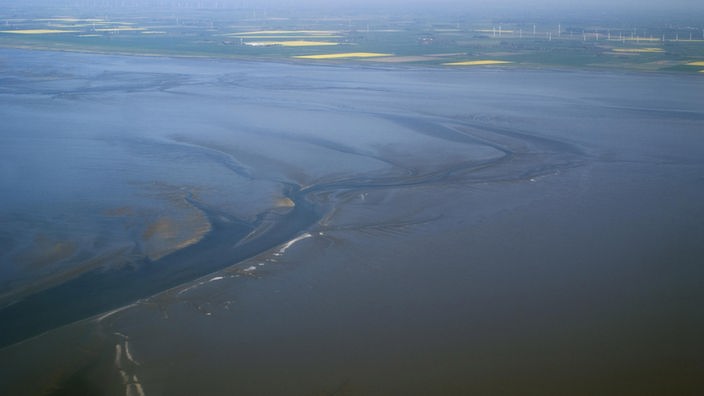 Luftaufnahme mit Prielen, die wie ein großes Flusssystem in der Wattfläche wirken.