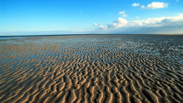 Nordsee Wattenmeer Nordsee Kultur Planet Wissen