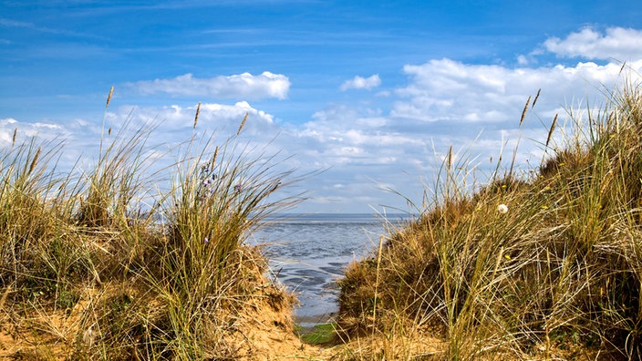 Blick vom Morsum-Kliff auf die See. | Bildquelle: dpa Picture-Alliance/Sabine Sabine Lubenow Blick vom Morsum-Kliff auf die See.