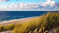 Dünen auf dem Lister Ellenbogen auf Sylt..