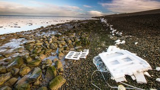 Angeschwemmter Verpackungsmüll an der Nordseeküste
