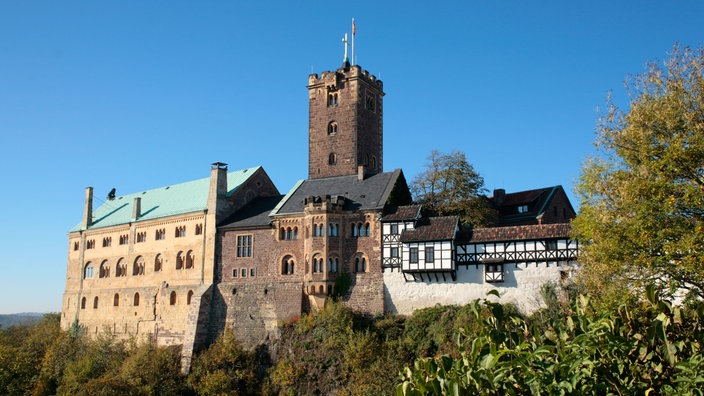 Eine Burg auf einer Anhöhe, umgeben von Bäumen.