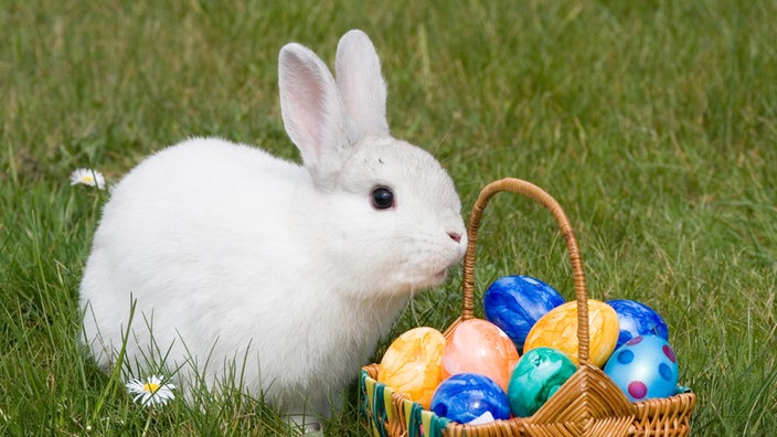 Ostern: Osterhase - Religion - Kultur - Planet Wissen