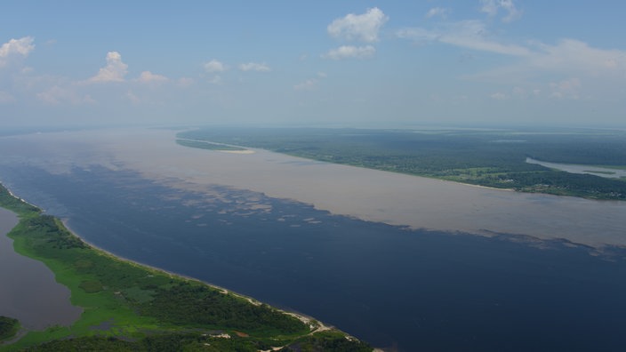 Luftbild vom Amazonas bei Manaus | Bildquelle: dpa/Marcus Brandt Luftbild vom Amazonas bei Manaus