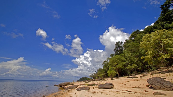 Flussufer mit Steinen, Sandstrand und Regenwald