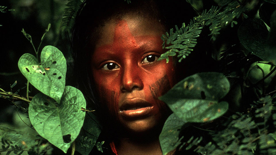 Amazonien Unkontaktierte Völker Südamerika Kultur Planet Wissen 