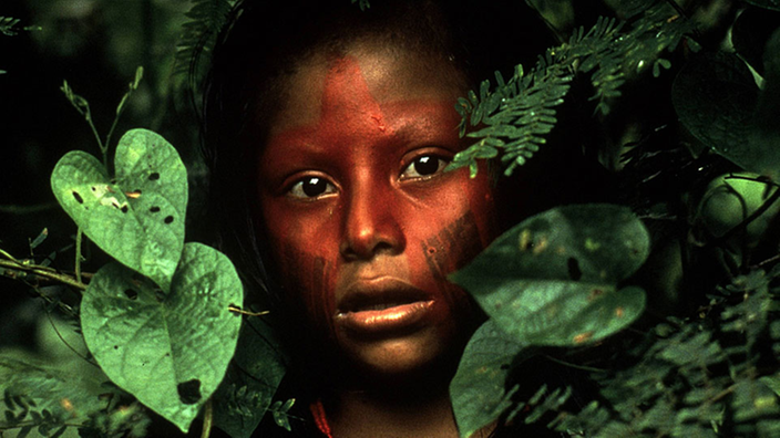 bemalter Kayapo-Indianer-Junge schaut aus Blätterwald