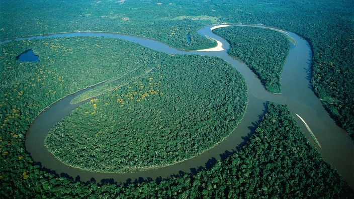 Luftbild auf den Amazonas.