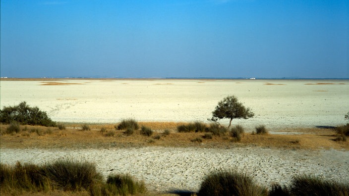 Flache, sandige Landschaft mit stellenweise kurzem Bewuchs.