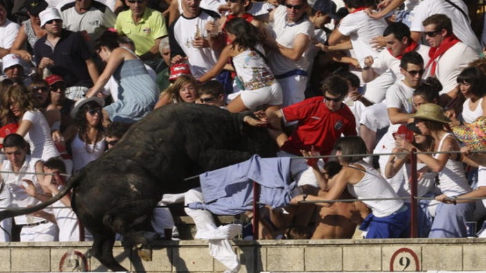 Der große schwarze Stier setzt zum Sprung über die Balustrade an, die das Publikum vom Ring trennt. Die Menschen fliehen. | Bildquelle: AP Der große schwarze Stier setzt zum Sprung über die Balustrade an, die das Publikum vom Ring trennt. Die Menschen fliehen.