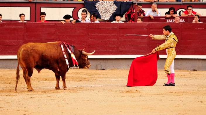 Der Matador steht dem erschöpften Stier mit gezogenem Degen gegenüber.