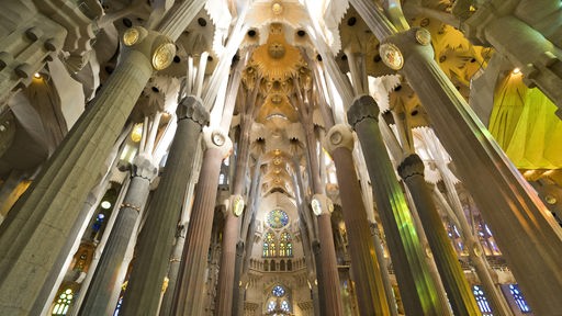 Baumähnliche Säulen im Inneren der Sagrada Familia