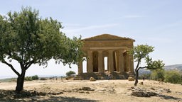Antiker Tempel auf einem Hügel zwischen Olivenbäumen. 