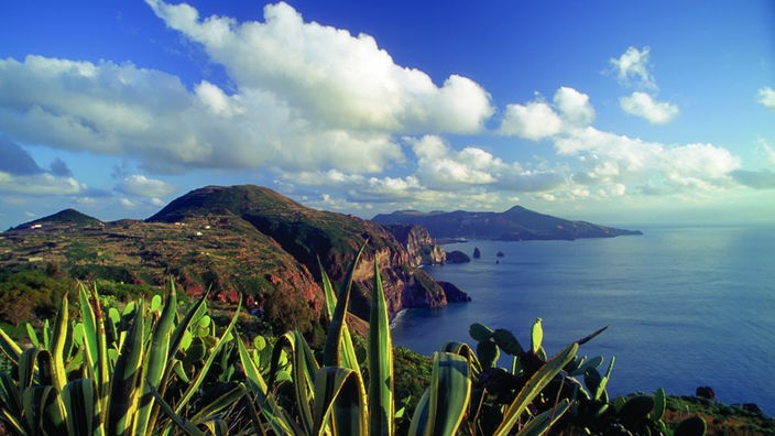 Blick über Kakteen auf eine karge Vulkaninsel mit steil zum Meer abfallenden Hängen. Im Hintergrund ist eine weitere Insel im Meer zu sehen.